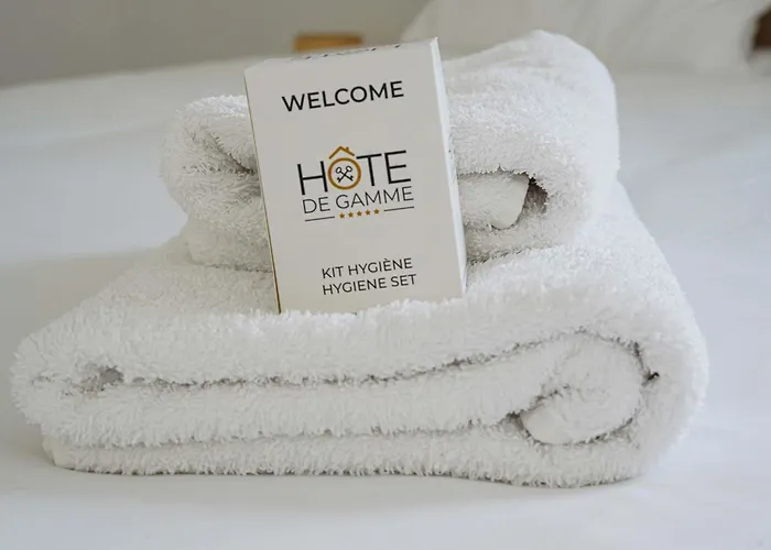 Bel Neuf Dans Le Centre Des Herbiers Au 2ème étage Appartement Les Herbiers